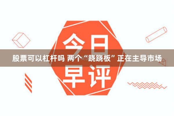 股票可以杠杆吗 两个“跷跷板”正在主导市场