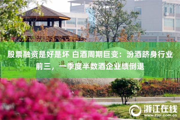 股票融资是好是坏 白酒周期巨变：汾酒跻身行业前三，一季度半数酒企业绩倒退