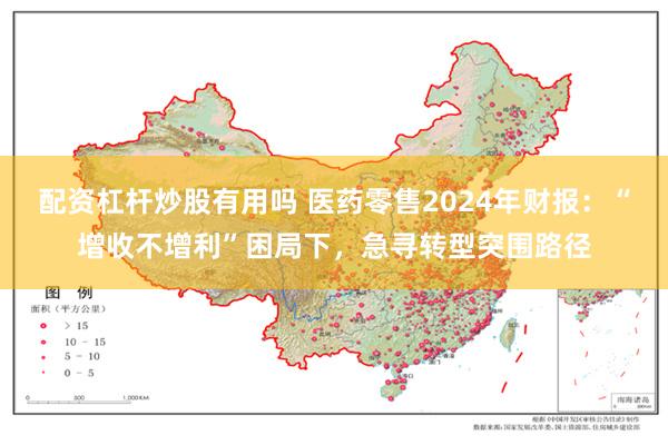 配资杠杆炒股有用吗 医药零售2024年财报：“增收不增利”困局下，急寻转型突围路径