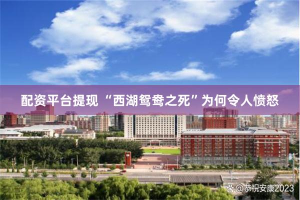 配资平台提现 “西湖鸳鸯之死”为何令人愤怒