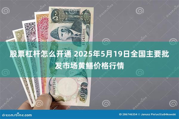 股票杠杆怎么开通 2025年5月19日全国主要批发市场黄鳝价格行情