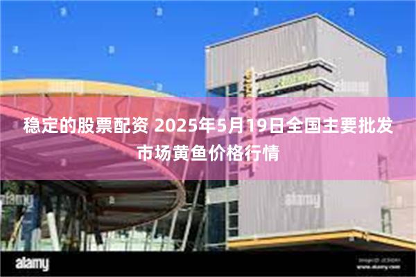 稳定的股票配资 2025年5月19日全国主要批发市场黄鱼价格行情