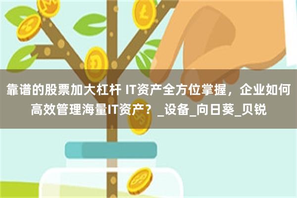 靠谱的股票加大杠杆 IT资产全方位掌握，企业如何高效管理海量IT资产？_设备_向日葵_贝锐