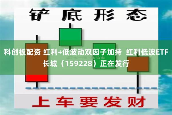 科创板配资 红利+低波动双因子加持  红利低波ETF长城（159228）正在发行