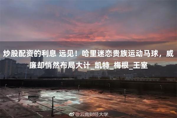 炒股配资的利息 远见！哈里迷恋贵族运动马球，威廉却悄然布局大计_凯特_梅根_王室