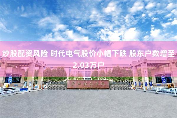 炒股配资风险 时代电气股价小幅下跌 股东户数增至2.03万户