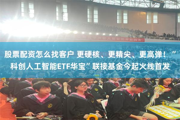 股票配资怎么找客户 更硬核、更精尖、更高弹！“科创人工智能ETF华宝”联接基金今起火线首发