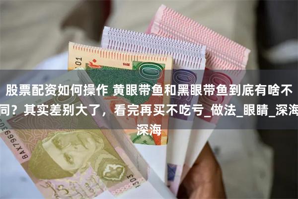 股票配资如何操作 黄眼带鱼和黑眼带鱼到底有啥不同？其实差别大了，看完再买不吃亏_做法_眼睛_深海