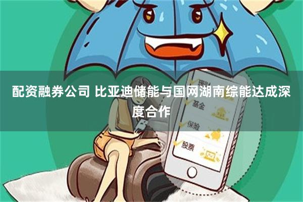 配资融券公司 比亚迪储能与国网湖南综能达成深度合作